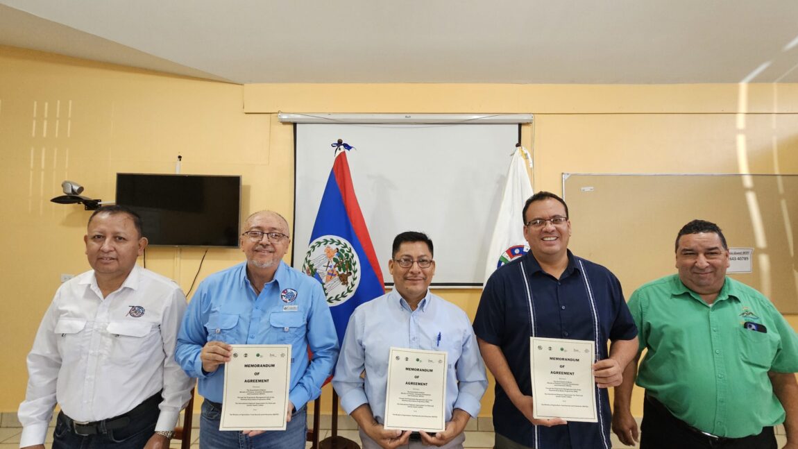 MED Invests in Expansion of a Biological Control Program for Farmers in Belize