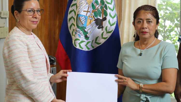 Presentation of Credentials to the Governor General