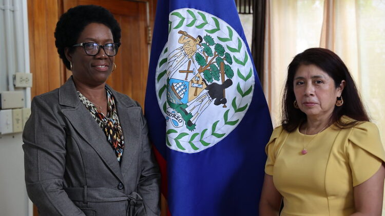 Governor General Swears in Acting Auditor General