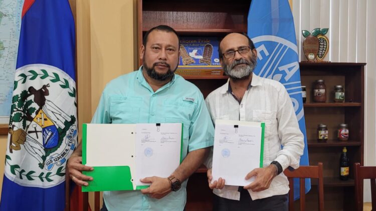 Minister of Agriculture and FAO Sign Country Programming Framework