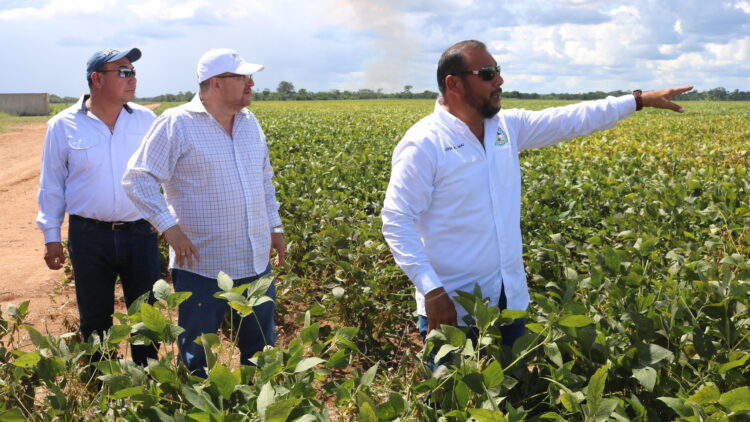 Salvadoran Minister of Agriculture Concludes Visit to Belize