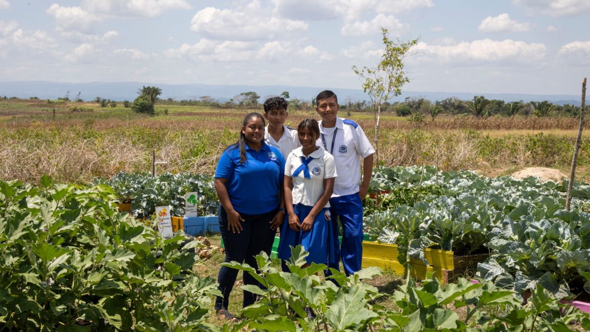 Ministry of Agriculture Announces Winners of School Garden Competition