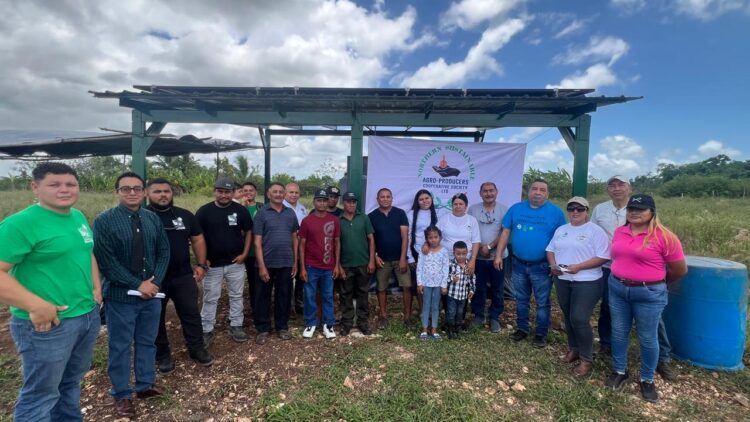 Delivery of Irrigation System for Two Producer Organizations in Corozal