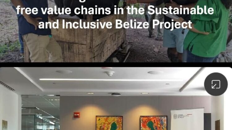 The Government of Belize Secures BZD$3 million Grant to Promote Sustainable and Deforestation-Free Agriculture