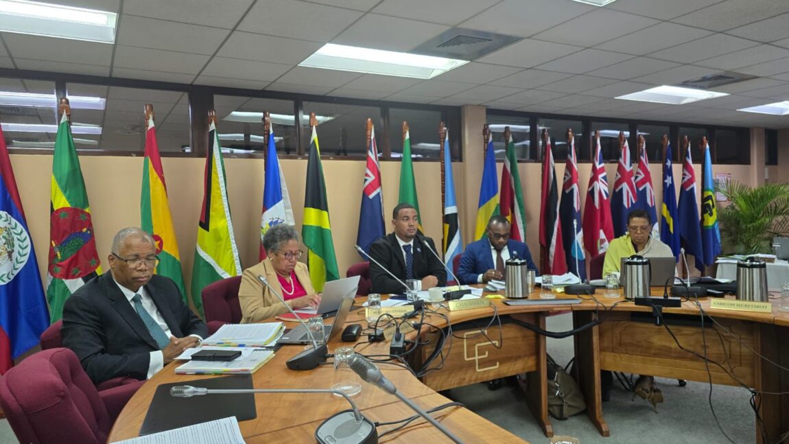 Minister of State for Foreign Trade Represents Belize at CARICOM’s Sixty-First COTED Meeting