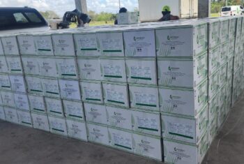 CRESAP Supports Sugar Industry with Supply of Biological Agents   