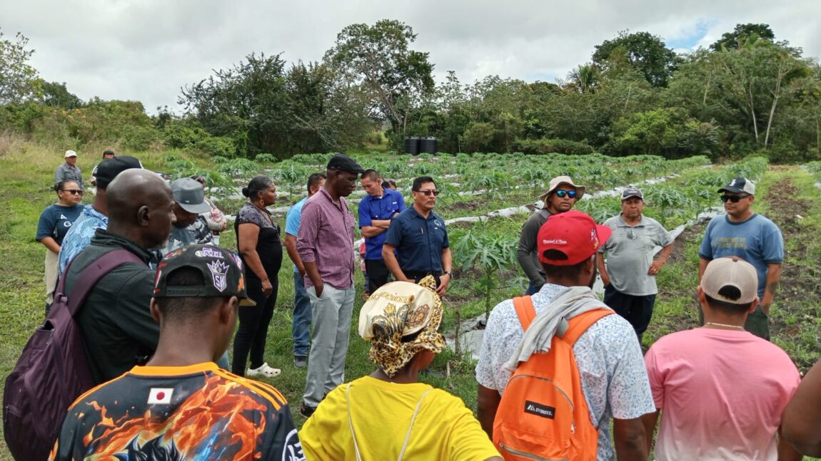 Ministry of Agriculture Hosts Exchange Program for Southern Farmers in Cayo District