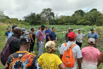 Ministry of Agriculture Hosts Exchange Program for Southern Farmers in Cayo District