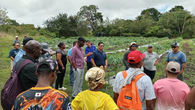 Ministry of Agriculture Hosts Exchange Program for Southern Farmers in Cayo District