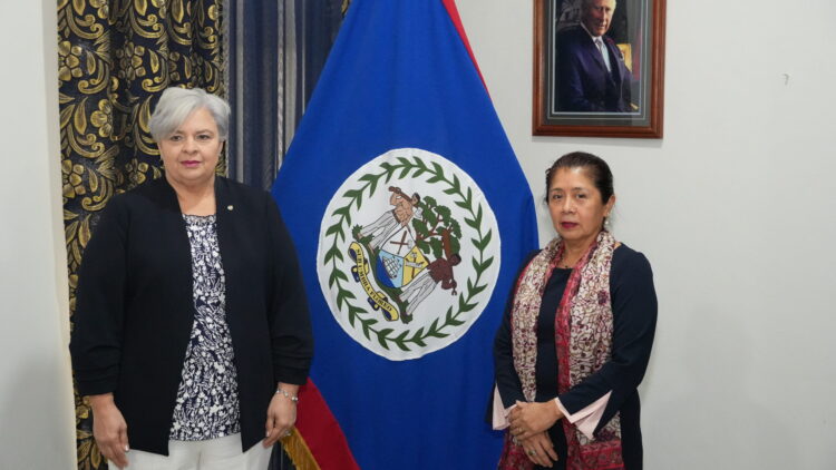 Presentation of Credentials