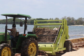 GOB Strengthens National Sargassum Preparedness