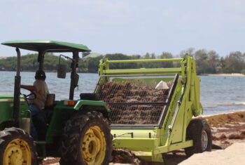 GOB Strengthens National Sargassum Preparedness