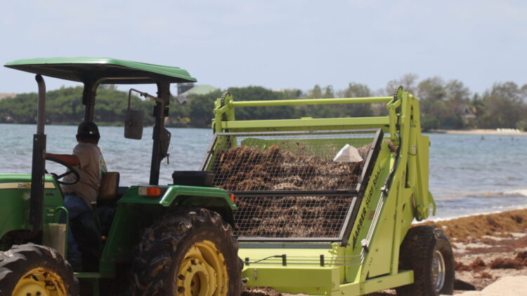 GOB Strengthens National Sargassum Preparedness