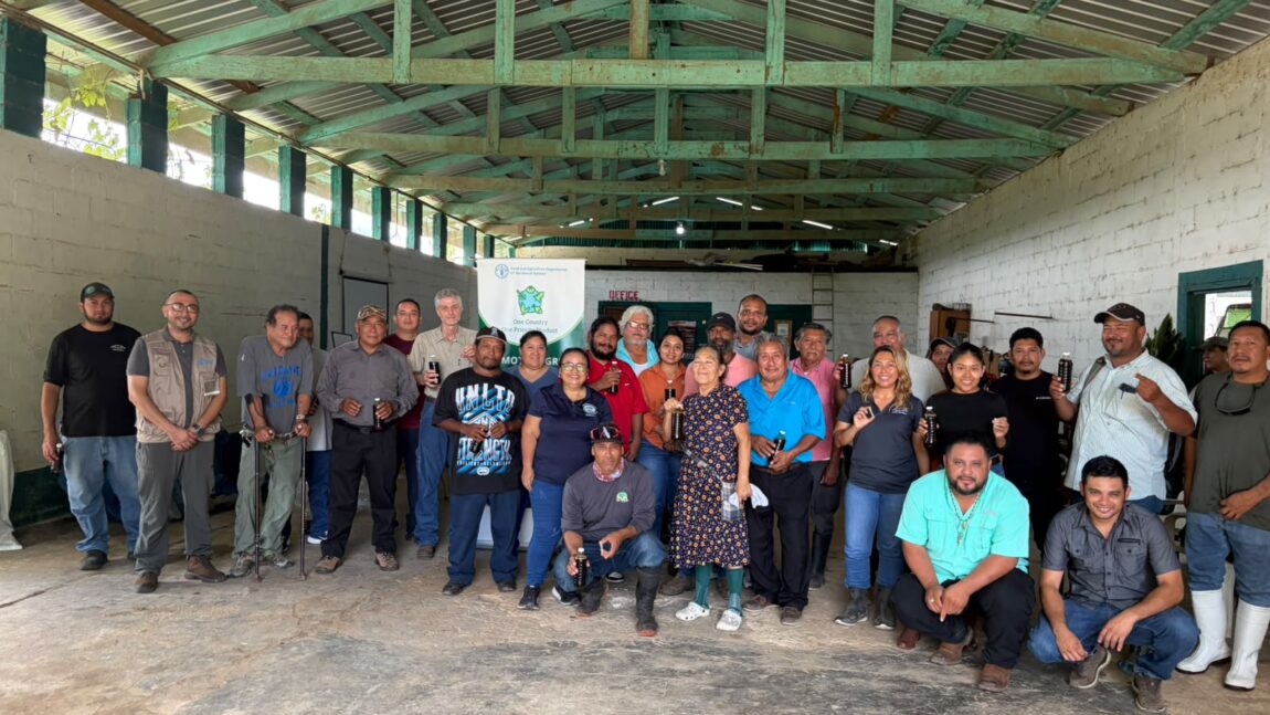 Ministry of Agriculture Holds Coconut Training for Cayo Farmers