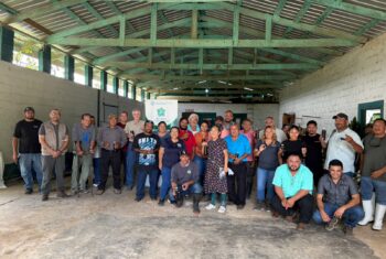 Ministry of Agriculture Holds Coconut Training for Cayo Farmers