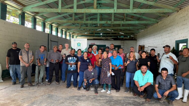 Ministry of Agriculture Holds Coconut Training for Cayo Farmers