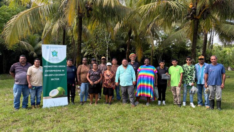 MAFSNGI Holds Coconut Workshops in Southern Districts