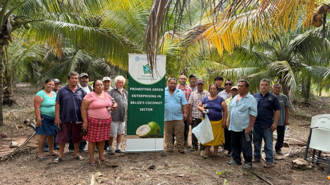 MAFSNGI Holds Coconut Pest and Disease Management Workshops