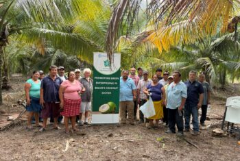 MAFSNGI Holds Coconut Pest and Disease Management Workshops