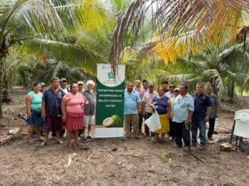 MAFSNGI Holds Coconut Pest and Disease Management Workshops