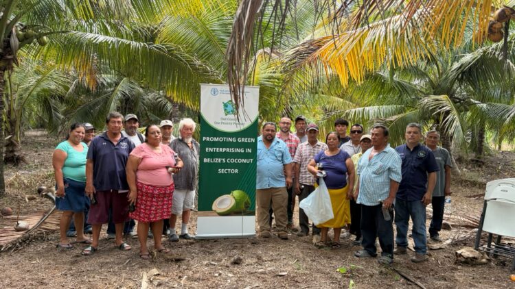 MAFSNGI Holds Coconut Pest and Disease Management Workshops